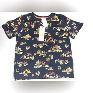 NWT boys luxury 4t C&C California kids top desert